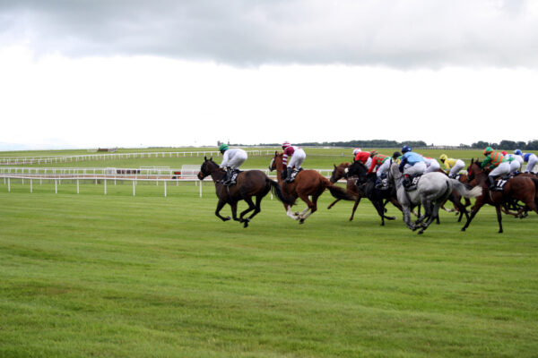 Fast,Horse,Race,In,Kildare,,Ireland