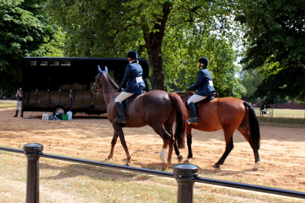 Two,Equestrianism,Wallking,In,Horses,On,Hyde,Park,,London,City,